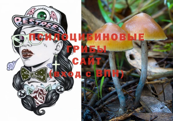не бодяженный Богородск